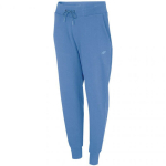 Sportinės kelnės moterims 4F W NOSH4 SPDD350 32S, mėlynos, L