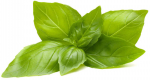 Citrininis bazilikas Smart Garden Click & Grow, 3 vnt