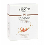 Automobilio kvapuko papildymas Maison Berger Car Diffuser Refill, 2 vnt.