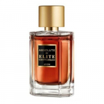 Tualetinis vanduo Avon Elite Gentleman Absolute EDT vyrams, 50 ml