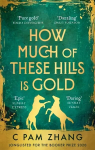 How Much of These Hills is Gold: 'A tale of two sisters during the gold rush ... beautifully written' The i, Best Books of the Year
