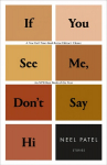 If You See Me, Don't Say Hi: Stories