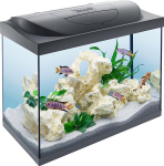 Akvariumas su LED ap&scaron;vietimu Tetra, 80 l