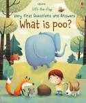 Very First Questions and Answers What is poo?: What is Poo?