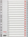 Esselte A4 spalvoti skirtukai, 12 vnt., su Mylar kortele
