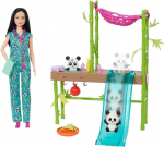 Lėlės rinkinys Barbie Veterinarė, HKT77