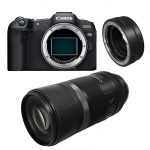 Canon EOS R8 + RF 600mm f/11 IS STM + EF-EOS R