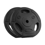 Svorio diskai Rebel Active 2x15 kg