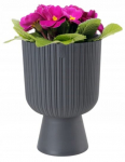 Vazonas-lėk&scaron;tė Keli ECO 26,5x17,8 cm, antracito spalvos