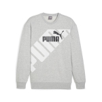 Laisvalaikio bliuzonas vyrams PUMA POWER Graphic Crew TR Light Gray - 67896104, pilkas