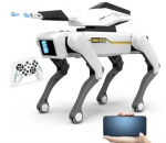 I&scaron;manusis robotas &scaron;uo su pulteliu ir programėle