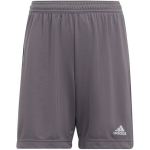&Scaron;ortai berniukams Adidas Entrada 22 Jr H57507, pilki