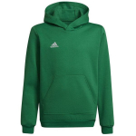 Džemperis vaikams Adidas Entrada 22 Hoody Y Jr HI2143, žalias