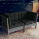 Dvivietė sodo sofa su antracito pagalvėlėmis, pu&scaron;ies masyvas