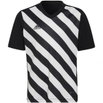Vaiki&scaron;ki mar&scaron;kinėliai Adidas Entrada 22 Graphic Jersey HF0123, juoda/balta