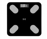 Analytical Bathroom Scale B2017