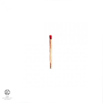 Vinilinė plok&scaron;telė 2LP RAMMSTEIN Rammstein