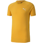 Vyri&scaron;ki mar&scaron;kinėliai Puma Evostripe Lite Tee 581534 25, geltoni