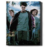 Tapyba pagal skaičius Harry Potter Oh Art!, 40x50 cm