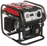 Benzininis elektros generatorius Dynamo DY-1020/PRO, 800W