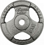 Diskinis svoris EbFit, 5 kg