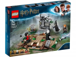 75965 LEGO&reg; Harry Potter Voldemorto i&scaron;kilimas
