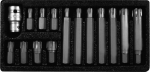 Ribe ir Torx antgalių rinkinys M4-m14, 30/75mm, 42 vnt.
