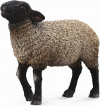 Figūrėlė CollectA Sufolko avis 88636