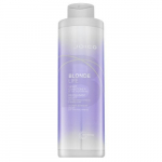 Plaukų kondicionierius Joico Blonde Life Violet Conditioner" maitinamasis &scaron;viesiems plaukams, 1000 ml