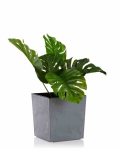 Vazonas Flore Grey Concrete, 19x19 cm