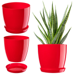 Vazonas su stovu Plastikinis dangtelis Vazonas 20cm Raudonos Kadax Gėlės