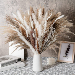 Dirbtinės gėlės, Pampas Grass Small Reed Rabbit Tail 80-2 derinys