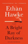 A Bright Ray of Darkness: A Novel, A Bright Ray of Darkness: A Novel