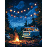 Tapymas pagal numerius 40x50 cm, Ugnies &scaron;viesa ir žvaigždžių &scaron;viesa, varvikas, MG2508e