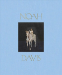 Noah Davis