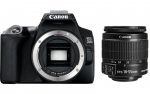 Canon EOS 250D + EF-S 18-55mm IS II
