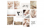 Dvylikos dalių reprodukcija Beauty 12MDF13