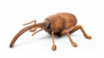 Popierinė 3D dėlionė Makebug Straubliukas MB-B-0004