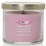 Yankee Candle Summit Stargazing - maža kvapioji žvakė su 1 dagčiu