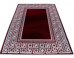 Ayyildiz kilimas Parma Red 9340, 120x170 cm