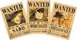 Plakatas One Piece