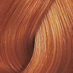 Wella Color Touch Vibrant Reds plaukų dažai 60ml - 8/43