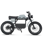 Elektrinis dviratis Ape Ryder Gibbon 20", Nardo pilkas