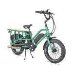 Elektrinis dviratis JOBOBIKE Transer 20" , žalias