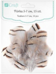 Plunksnos kurapkos, 5-7 cm, 15 vnt.
