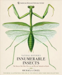 Innumerable Insects: The Story of the Most Diverse and Myriad Animals on Earth