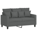 Dvivietė sofa，Poilsio sofa, tamsiai pilkos spalvos, 120cm, audinys CFE45147
