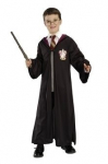 Hario Poterio kostiumas