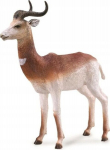 Gazelė - Collecta