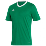 Sportiniai mar&scaron;kinėliai vyrams Adidas Entrada 22 Jersey, žali